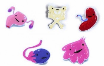 http://www.yourdoulabag.com/products/birth-pins-holiday-gift-guide-pricing